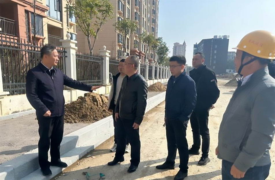 青山湖區(qū)黨委副書記、區(qū)長楊育星到利民路項目調(diào)研